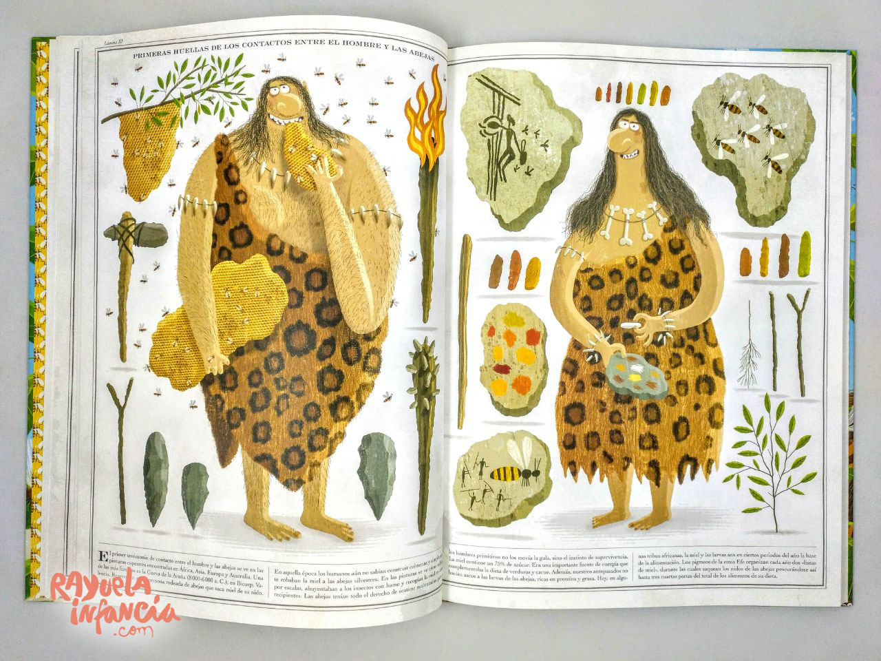 abejas libro ilustrado sobre las abejas maeva young 