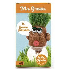 MR GREEN