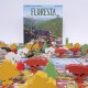 FLORESTA JUEGO DE MESA MEBO