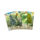 FOREST SHUFFLE JUEGO ASMODEE