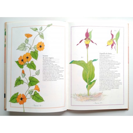 INVENTARIO ILUSTRADO DE FLORES, de virginie aladjidi | Comprar libro INVENTARIO ILUSTRADO DE FLORES, de virginie aladjidi | Comprar libro
