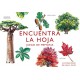 ENCUENTRA LA HOJA MTM