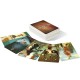 EXPANSION DIXIT 4