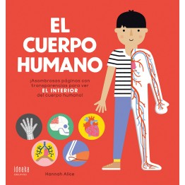 EL CUERPO HUMANO