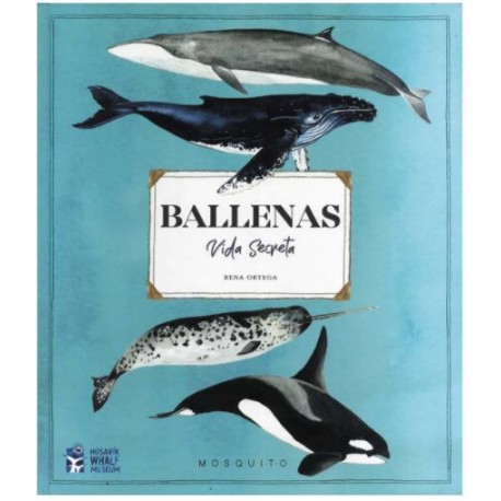 BALLENAS VIDA SECRETA