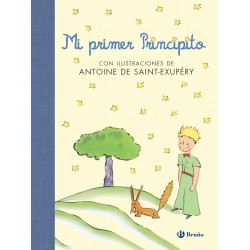 MI PRIMER PRINCIPITO