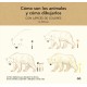 COMO SON LOS ANIMALES Y COMO DIBUJARLOS CON LAPICES DE COLORES 