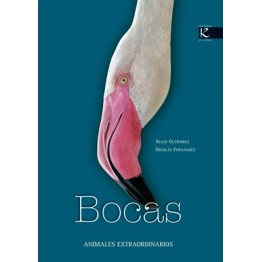 BOCAS