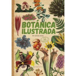 BOTÁNICA ILUSTRADA