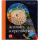 ANIMALES SORPRENDENTES LINTERNA MAGICA