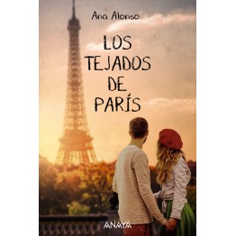 LOS TEJADOS DE PARÍS