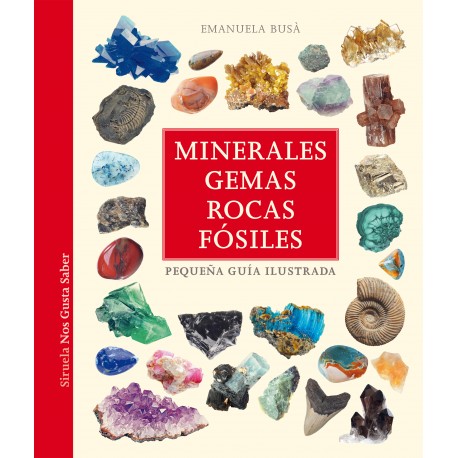 MINERALES, GEMAS, ROCAS Y FOSILES LIBRO