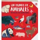 UN MUNDO DE ANIMALES LA COCCINELLA