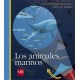 LOS ANIMALES MARINOS MUNDO MARAVILLOSO LINTERNA MAGICA SM