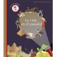 LA VIDA EN EL PASADO Mundo Maravilloso Linterna Magica SM Portada Libro